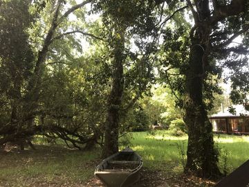 Casa en Venta en Lago Ranco, sector Calcurrupe