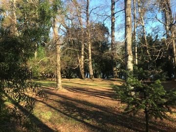 Casa en Venta en Lago Ranco, sector Calcurrupe