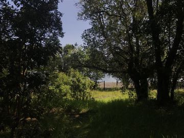 Casa en Venta en Lago Ranco, sector Calcurrupe