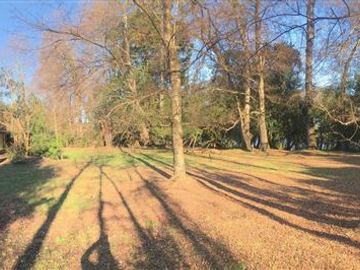 Casa en Venta en Lago Ranco, sector Calcurrupe