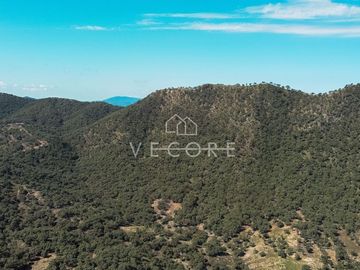 TERRENO EN VENTA, SANTA LUCIA, ZAPOPAN