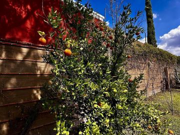Venta Casas 1 Piso (1,000m2) | Villas del Meson | Qro76 | $8.8mdp