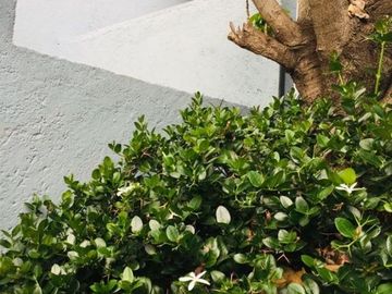 Casa en venta en Fracc Pedregal De Queretaro