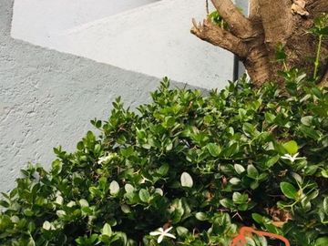Casa en venta en Fracc Pedregal De Queretaro