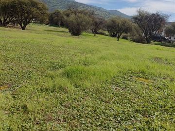 Parcela en Venta en Camino Loma Tendida con av. el golf