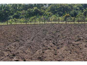 Productivo Rancho en Venta en Cofradía de Suchitlán