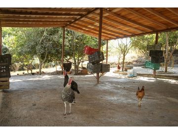 Productivo Rancho en Venta en Cofradía de Suchitlán