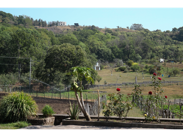 Productivo Rancho en Venta en Cofradía de Suchitlán