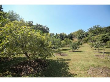 Productivo Rancho en Venta en Cofradía de Suchitlán