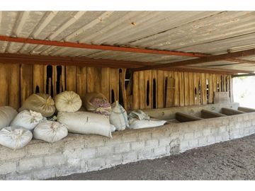 Productivo Rancho en Venta en Cofradía de Suchitlán