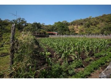 Productivo Rancho en Venta en Cofradía de Suchitlán