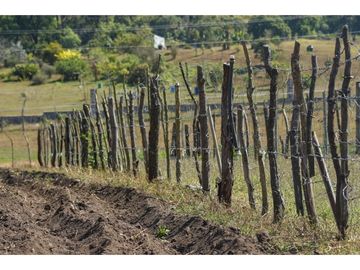 Productivo Rancho en Venta en Cofradía de Suchitlán
