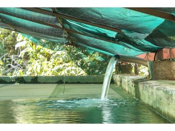 Productivo Rancho en Venta en Cofradía de Suchitlán