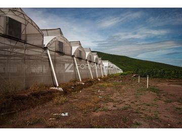 Rancho en Venta con Sistemas de Riego y Tecnología Agrícola