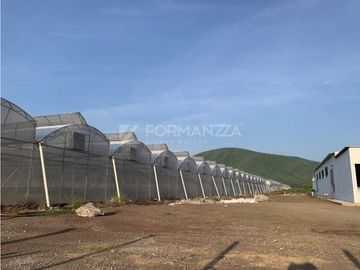 Rancho en Venta con Sistemas de Riego y Tecnología Agrícola