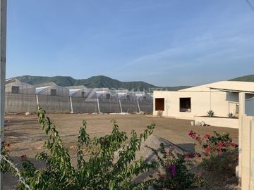 Rancho en Venta con Sistemas de Riego y Tecnología Agrícola