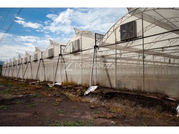 Rancho en Venta con Sistemas de Riego y Tecnología Agrícola