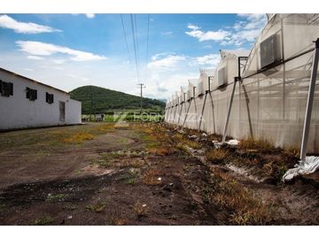 Rancho en Venta con Sistemas de Riego y Tecnología Agrícola