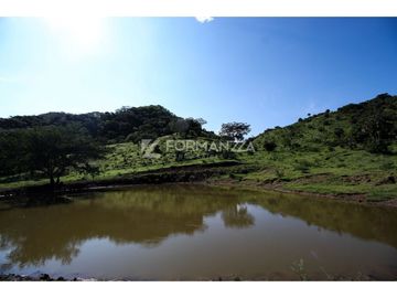 Rancho ganadero en venta 