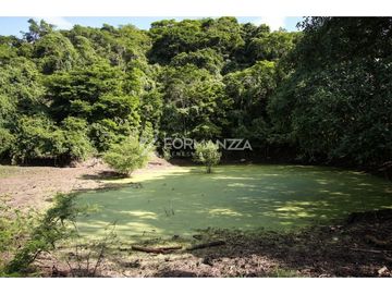 Rancho ganadero en venta 