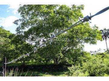 Rancho ganadero en venta 