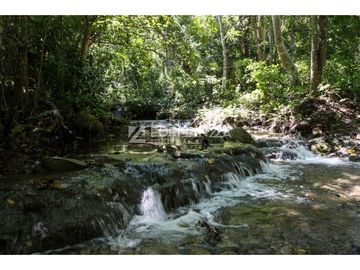 Rancho ganadero en venta 