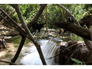 Rancho ganadero en venta 