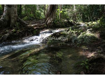 Rancho ganadero en venta 