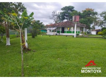Finca ganadera en Arabia, Pereira
