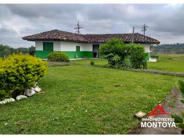 Finca ganadera en Arabia, Pereira