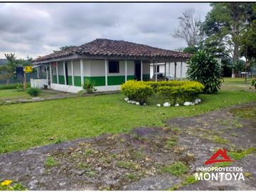 Finca ganadera en Arabia, Pereira