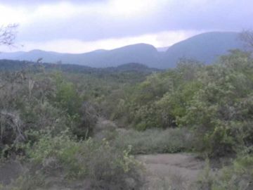 RANCHO/FINCA EN ANTIGUO MORELOS TAMAULIPAS