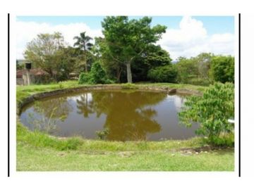 FINCA EN CONDOMINIO EN VENTA DARIEN LAGO CALIMA  YP 8173303
