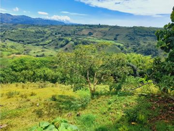 Se vende gran finca en pueblo tapao