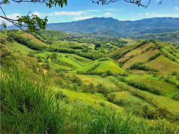 Se vende gran finca en pueblo tapao
