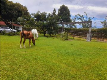 Se vende gran finca en pueblo tapao