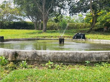 Se vende gran finca en pueblo tapao