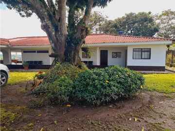 Se vende gran finca en pueblo tapao