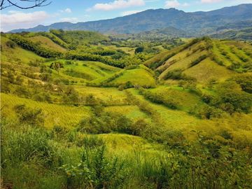 Se vende gran finca en pueblo tapao