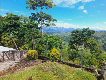 Se vende gran finca en pueblo tapao