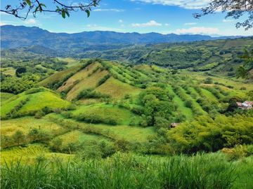 Se vende gran finca en pueblo tapao