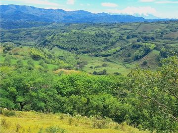 Se vende gran finca en pueblo tapao