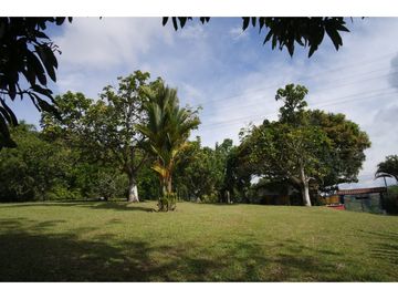 VENTA   LOTE - TEBAIDA