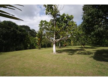 VENTA   LOTE - TEBAIDA