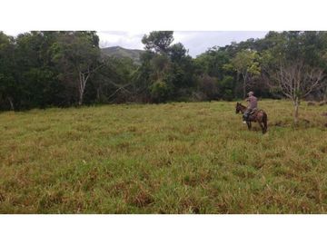 Finca en Venta en Carmen de Apicalá