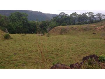 Finca en Venta en Carmen de Apicalá