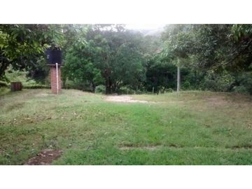 Finca en Venta en Carmen de Apicalá