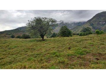Finca en Venta en Carmen de Apicalá