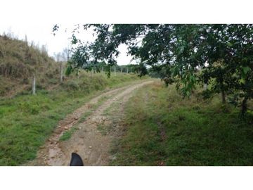 Finca en Venta en Carmen de Apicalá