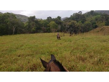 Finca en Venta en Carmen de Apicalá